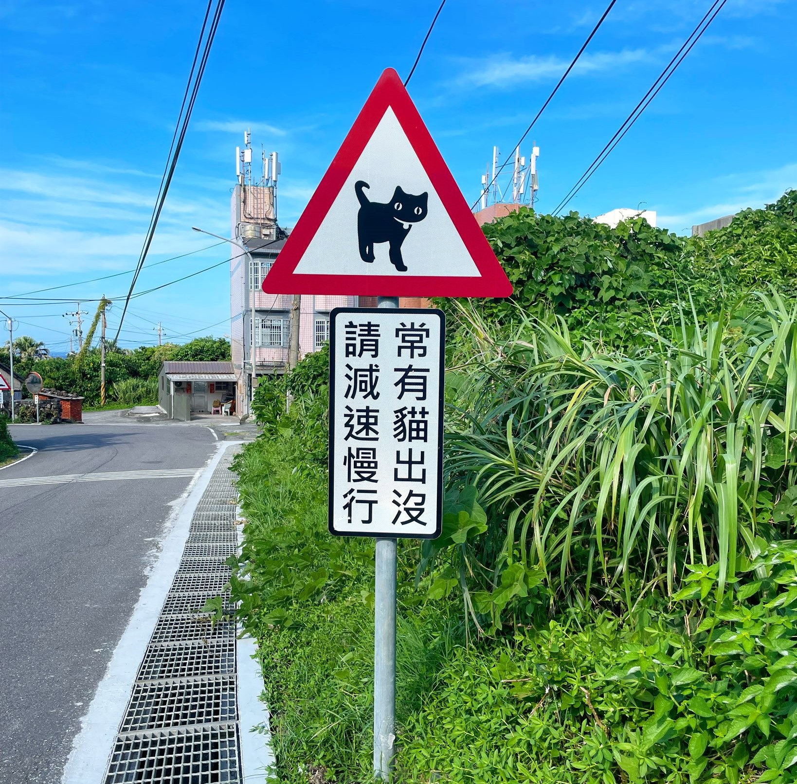 Biro Transportasi Kota New Taipei secara khusus memasang kembali rambu peringatan lalu lintas "Waspada terhadap Kucing" di Desa Kucing Houtong di sebelah Stasiun Kereta Houtong untuk mengingatkan orang yang lewat agar memperlambat kecepatan.  (Sumber foto : Biro Transportasi Kota New Taipei)